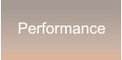 Performance Performance